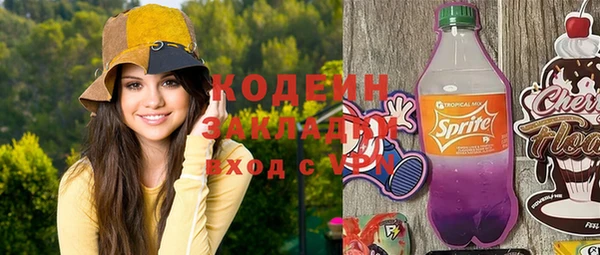прущий лед Бородино