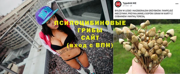 прущий лед Бородино