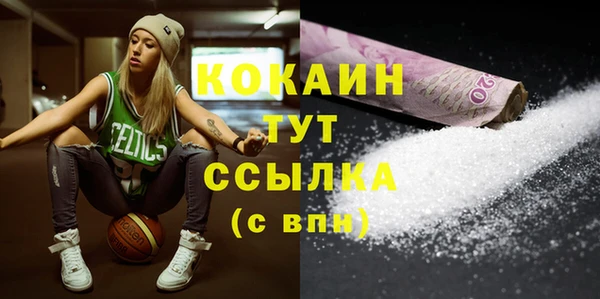 прущий лед Бородино