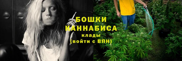 дмт Рославль