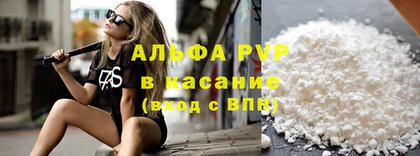 прущий лед Бородино